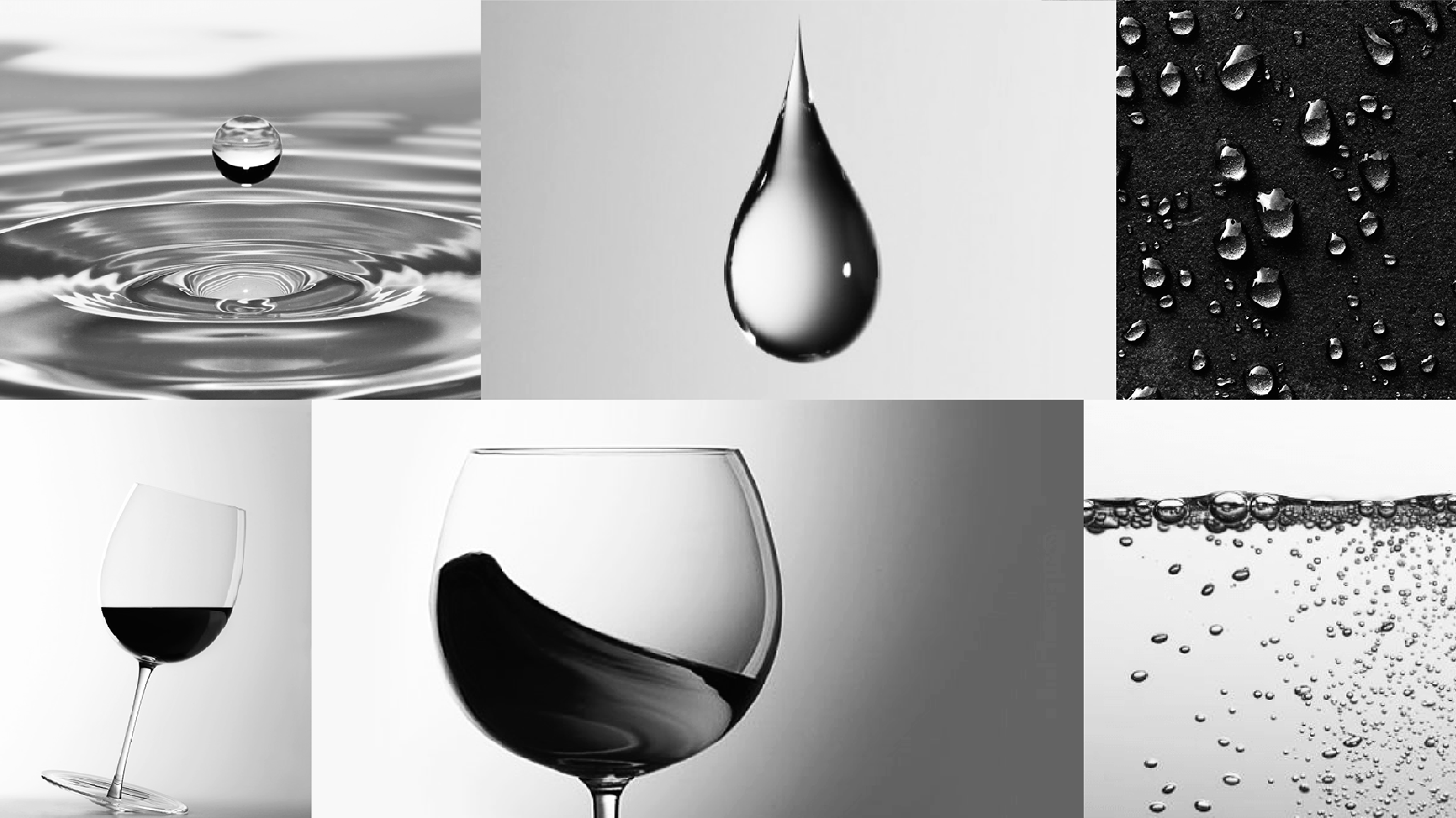 打造設計說服力 讓作品變現的攻心提案術 Motioner 二棲知學 做你設計路上的學習嚮導